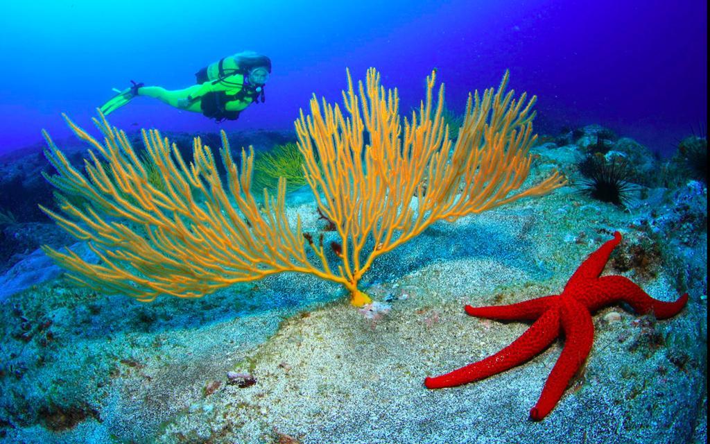 Апартаменти Ocean Breeze Faro Sardina Екстер'єр фото